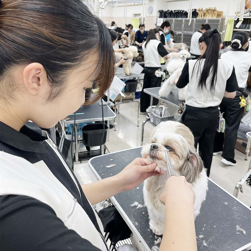 ２年生が担当しているかわいいお客様♪